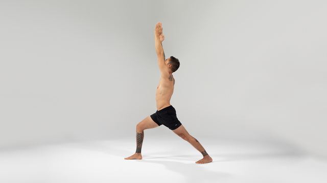 Dylan Werner's "Warrior I Pose" Online Video Workouts on ALO Wellness Club