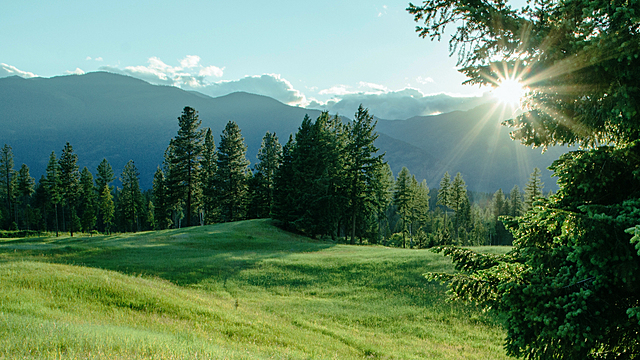 ALO Wellness Club's "Breathwork: Energize" Online Video Workouts on ALO Wellness Club