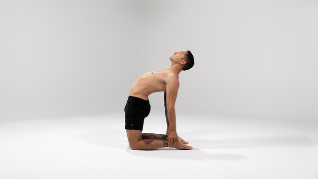 Dylan Werner's "Camel Pose" Online Video Workouts on ALO Wellness Club