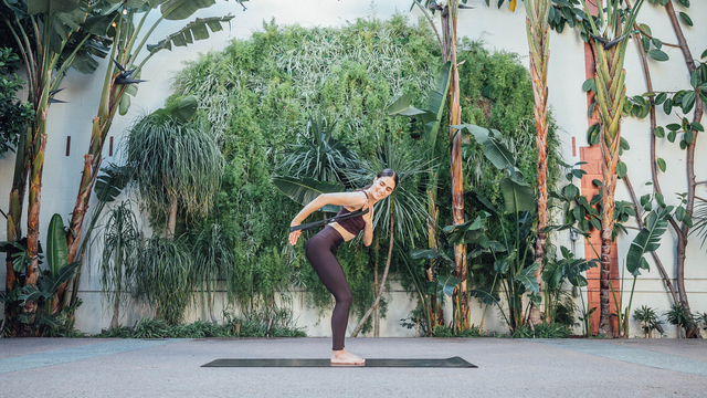 Emily Sferra's "10-Minute Arms with Bands" Online Video Workouts on ALO Wellness Club