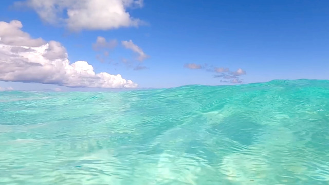 Olivia Wyatt's "Floating In The Sea" Online Video Workouts on ALO Wellness Club