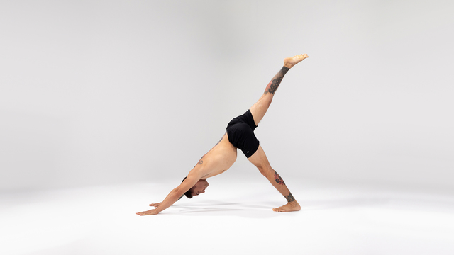 Dylan Werner's "Single-Leg Downward Dog Pose" Online Video Workouts on ALO Wellness Club