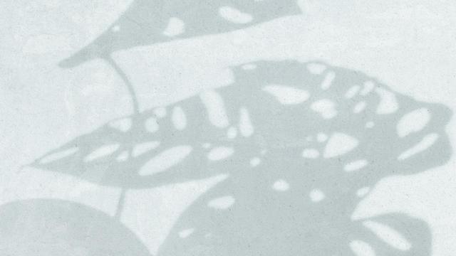 Susy Markoe Schieffelin's "Sleep Portal" Online Video Workouts on ALO Wellness Club