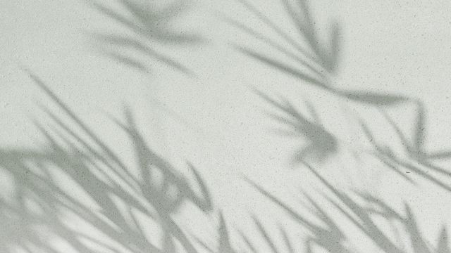 Kirat Randhawa's "Developing Peace" Online Video Workouts on ALO Wellness Club