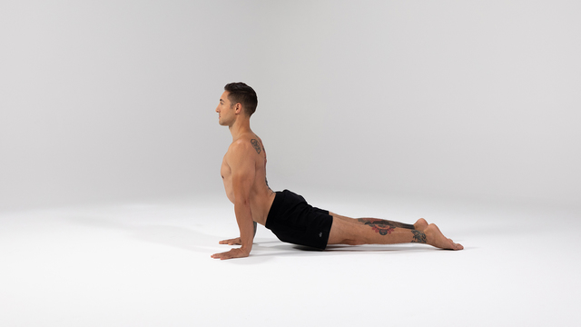 Dylan Werner's "Upward-Facing Dog Pose" Online Video Workouts on ALO Wellness Club