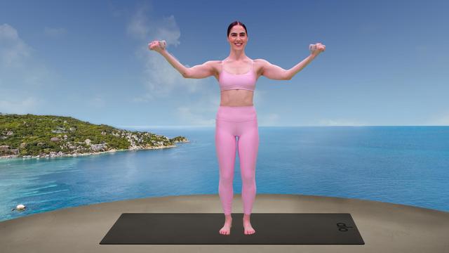 Emily Sferra's "Barre Arms" Online Video Workouts on ALO Wellness Club