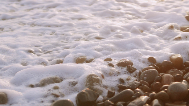 ALO Wellness Club's "Ocean Waves in Hawaii" Online Video Workouts on ALO Wellness Club