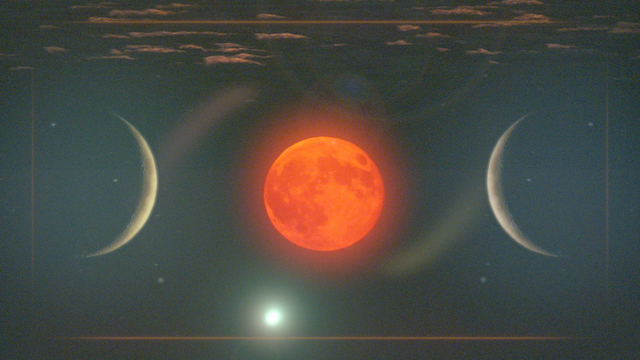 Kirat Randhawa's "Stillness" Online Video Workouts on ALO Wellness Club