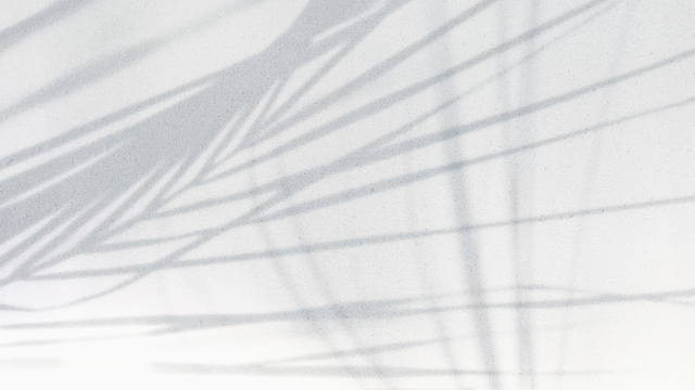 Nicole Rutsch's "Shield Your Energy" Online Video Workouts on ALO Wellness Club