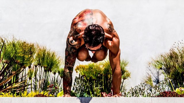 Dylan Werner's "True Strength Builder II 2014" Online Video Workouts on ALO Wellness Club