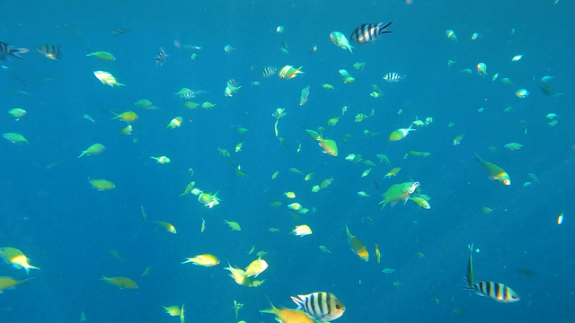 Olivia Wyatt's "Glittering Sea" Online Video Workouts on ALO Wellness Club