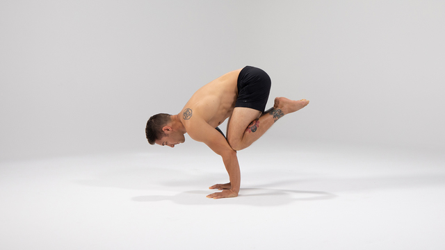 Dylan Werner's "Crow Pose" Online Video Workouts on ALO Wellness Club