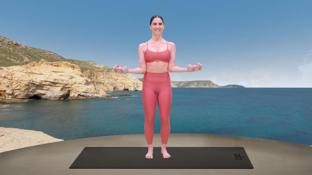 Emily Sferra's "Barre Biceps" Online Video Workouts on ALO Wellness Club