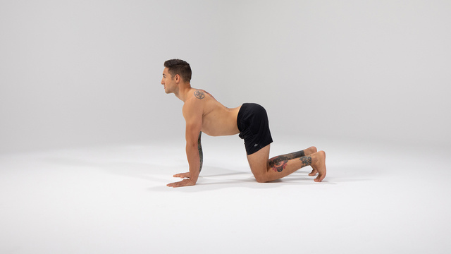 Dylan Werner's "Cow Pose" Online Video Workouts on ALO Wellness Club