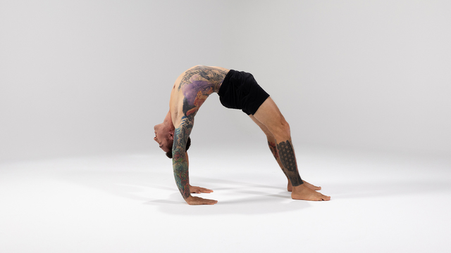 Dylan Werner's "Wheel Pose" Online Video Workouts on ALO Wellness Club