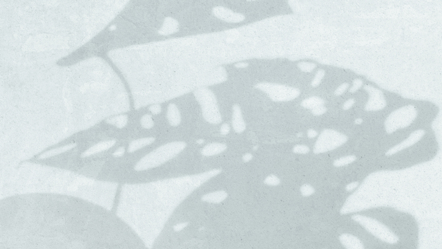 Susy Markoe Schieffelin's "Ocean of Calm" Online Video Workouts on ALO Wellness Club