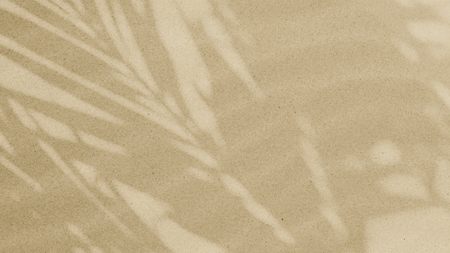 Jackie Stewart's "Nourish Your Presence" Online Video Workouts on ALO Wellness Club