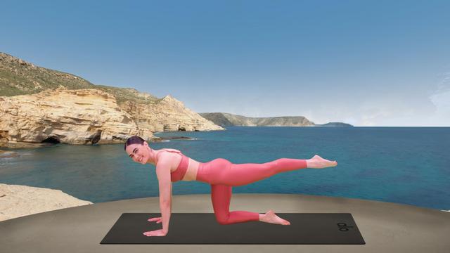 Emily Sferra's "Tabletop Glute Work" Online Video Workouts on ALO Wellness Club