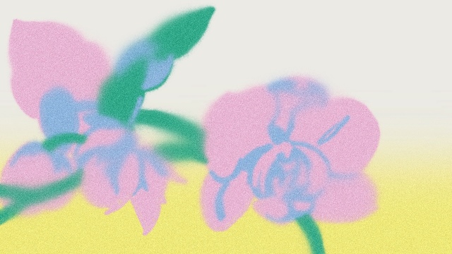 Susy Markoe Schieffelin's "Sound Into Sleep" Online Video Workouts on ALO Wellness Club