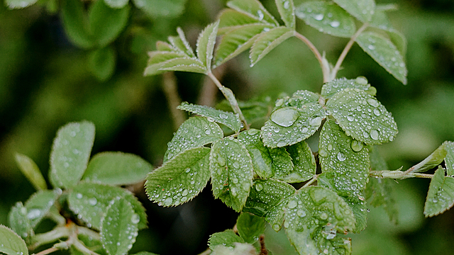 ALO Wellness Club's "Breathwork: Balance" Online Video Workouts on ALO Wellness Club