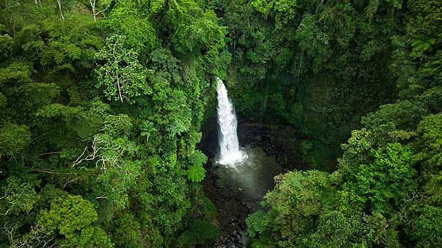 Sah D'Simone's "Jungle Meditation Journey" Online Video Workouts on ALO Wellness Club